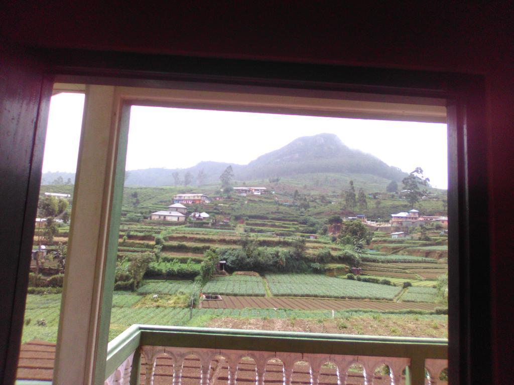 Avon Field Nuwara Eliya