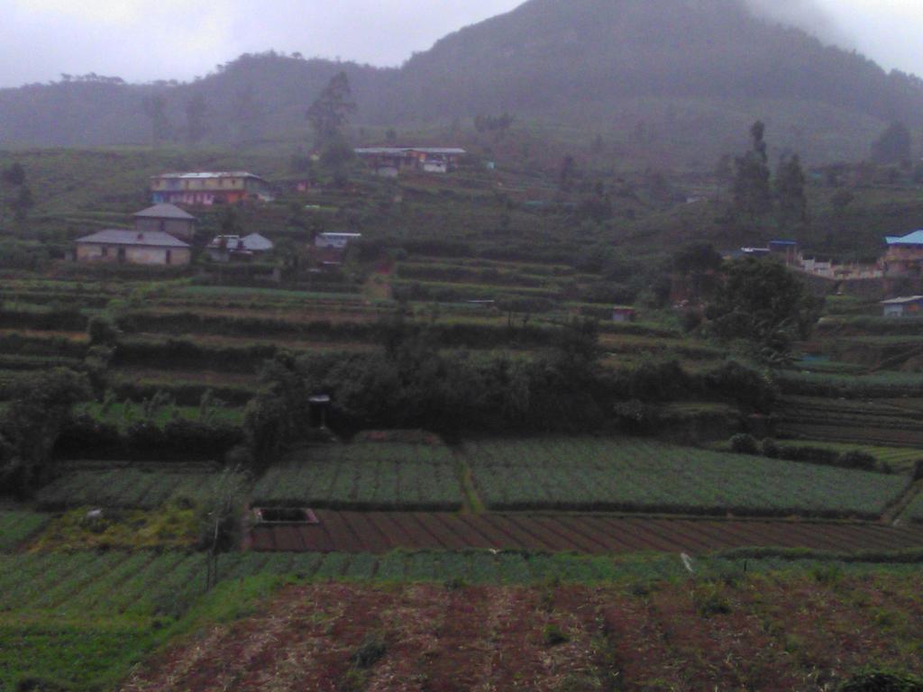 Avon Field Nuwara Eliya